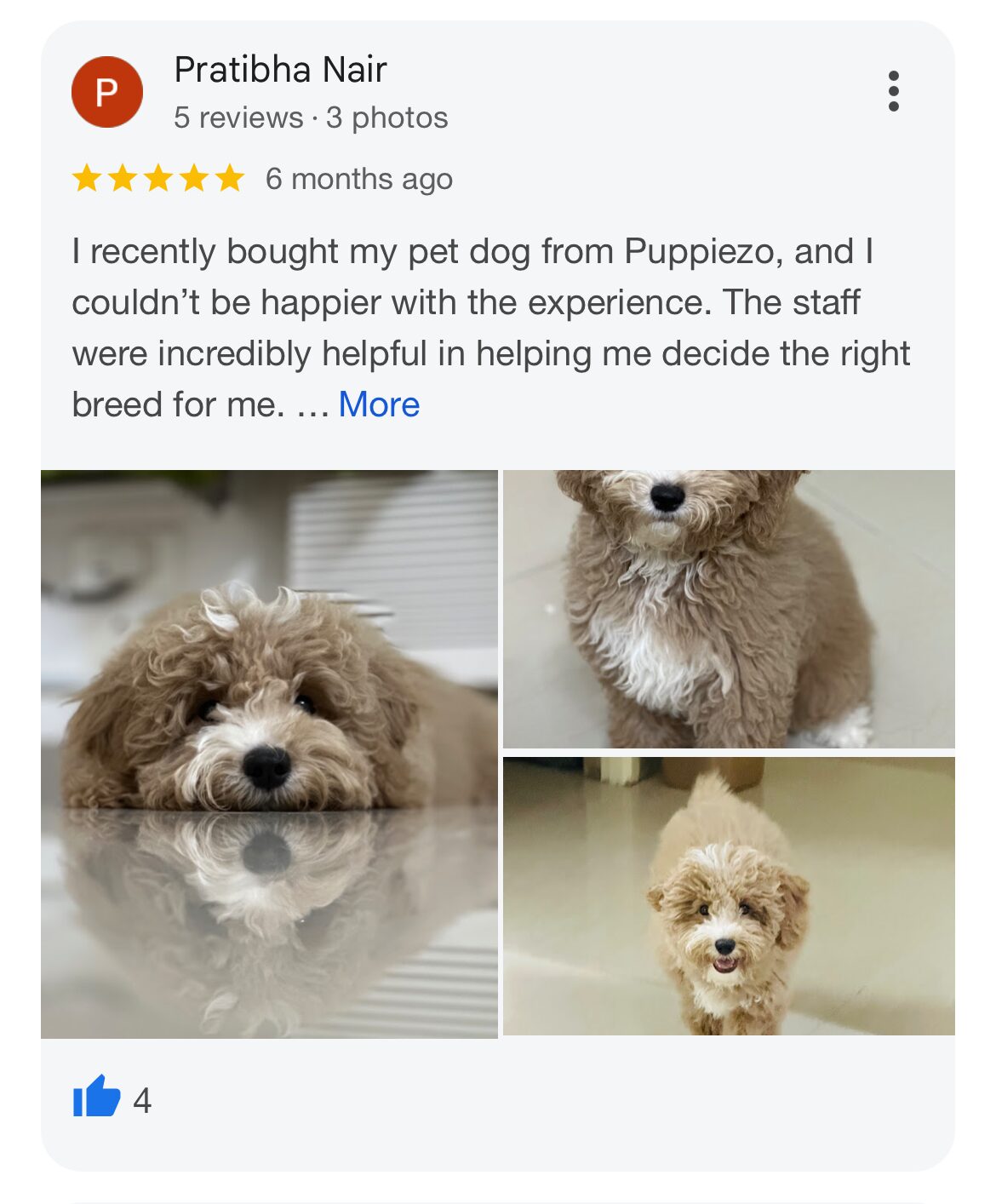 Customer Review 7