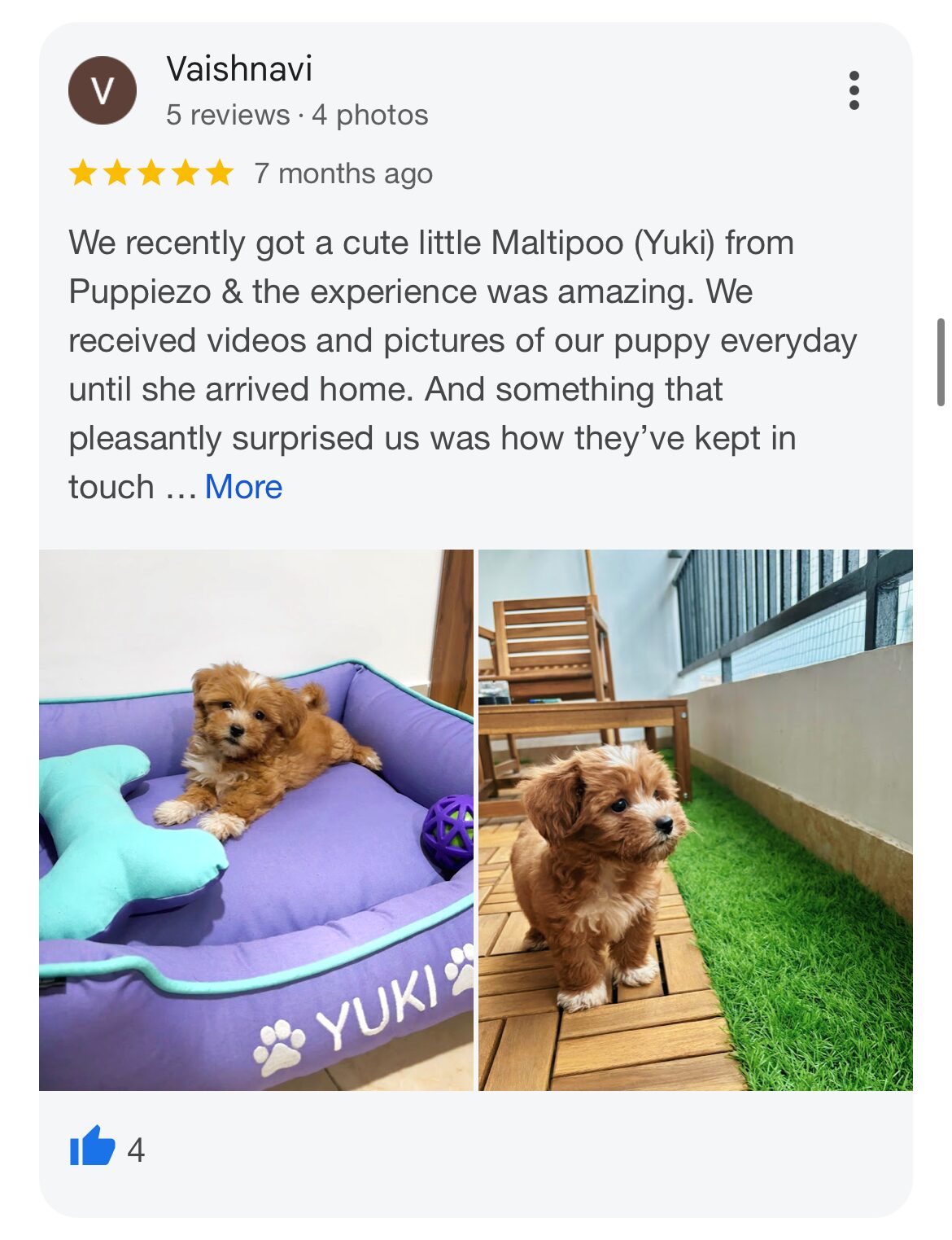 Customer Review 2