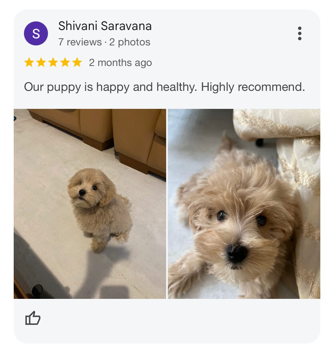Customer Review 8