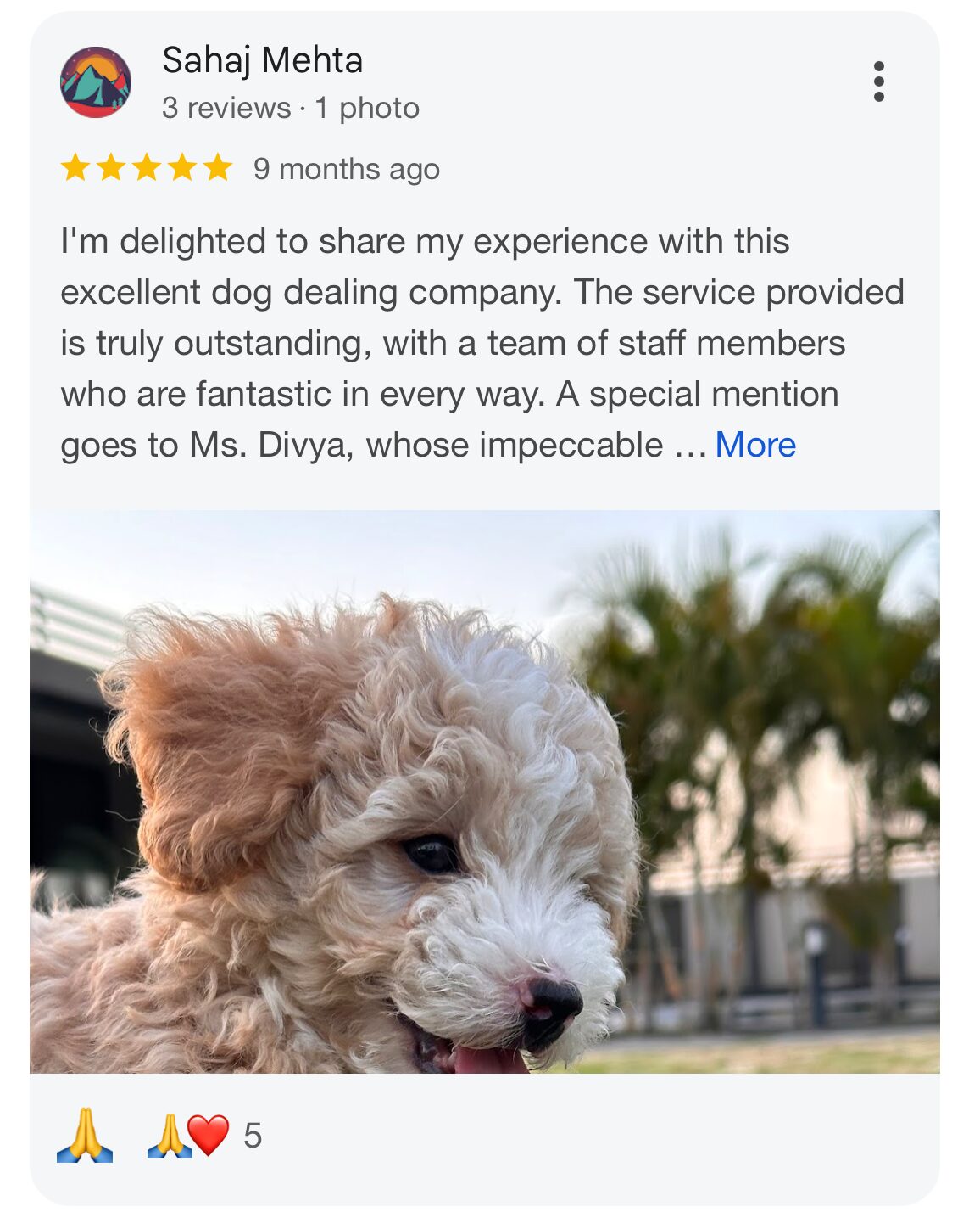 Customer Review 4