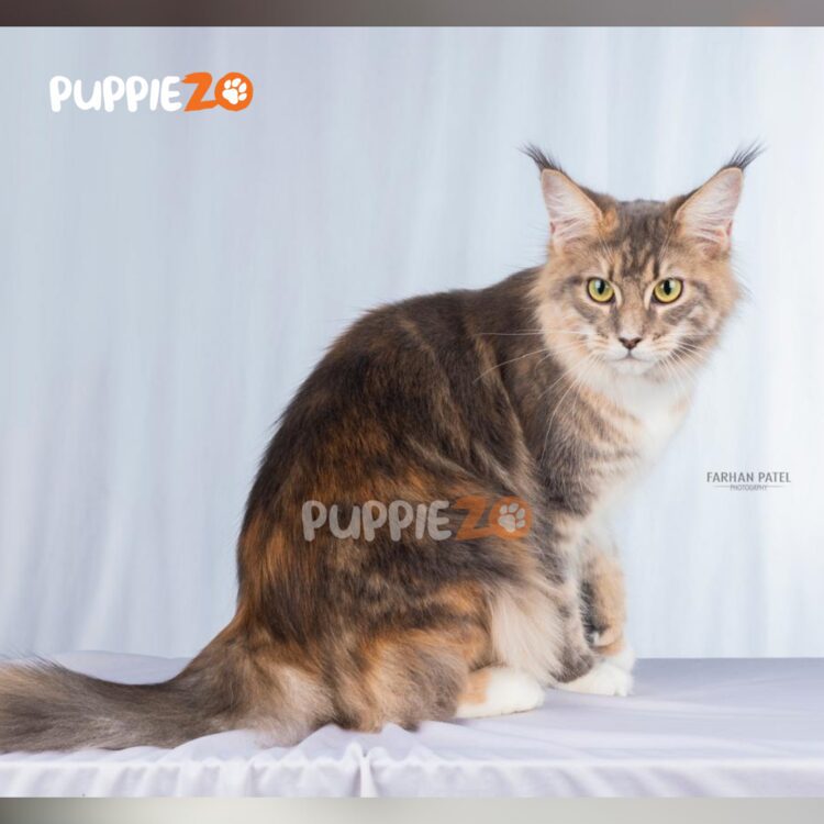 Zoe
